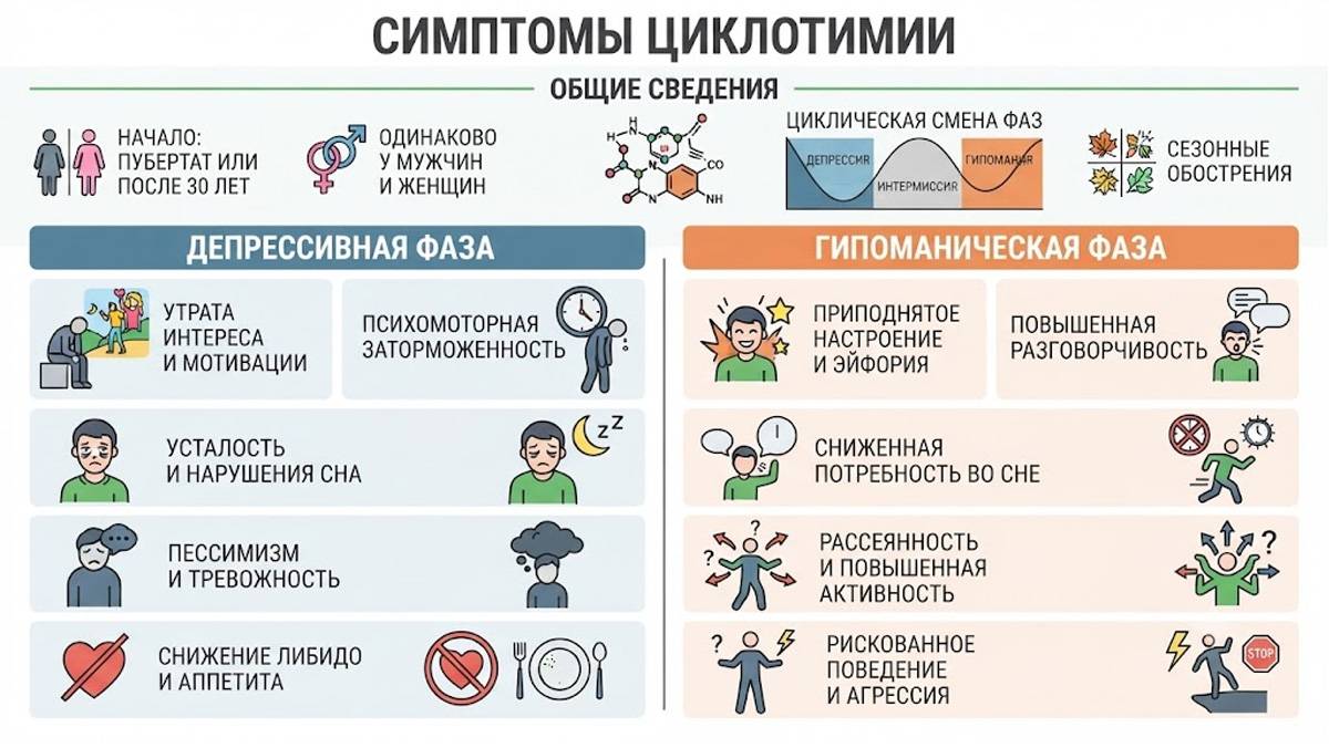 Инфографика симптомов циклотимии с разделением на депрессивную и гипоманическую фазы.